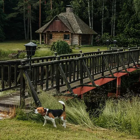 Log * Kuldīga